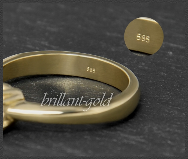 Brillant 585 Gelbgold Ring mit 1,06ct, River, Si