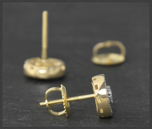 Diamant Ohrstecker mit 0,70ct, 10K Gold